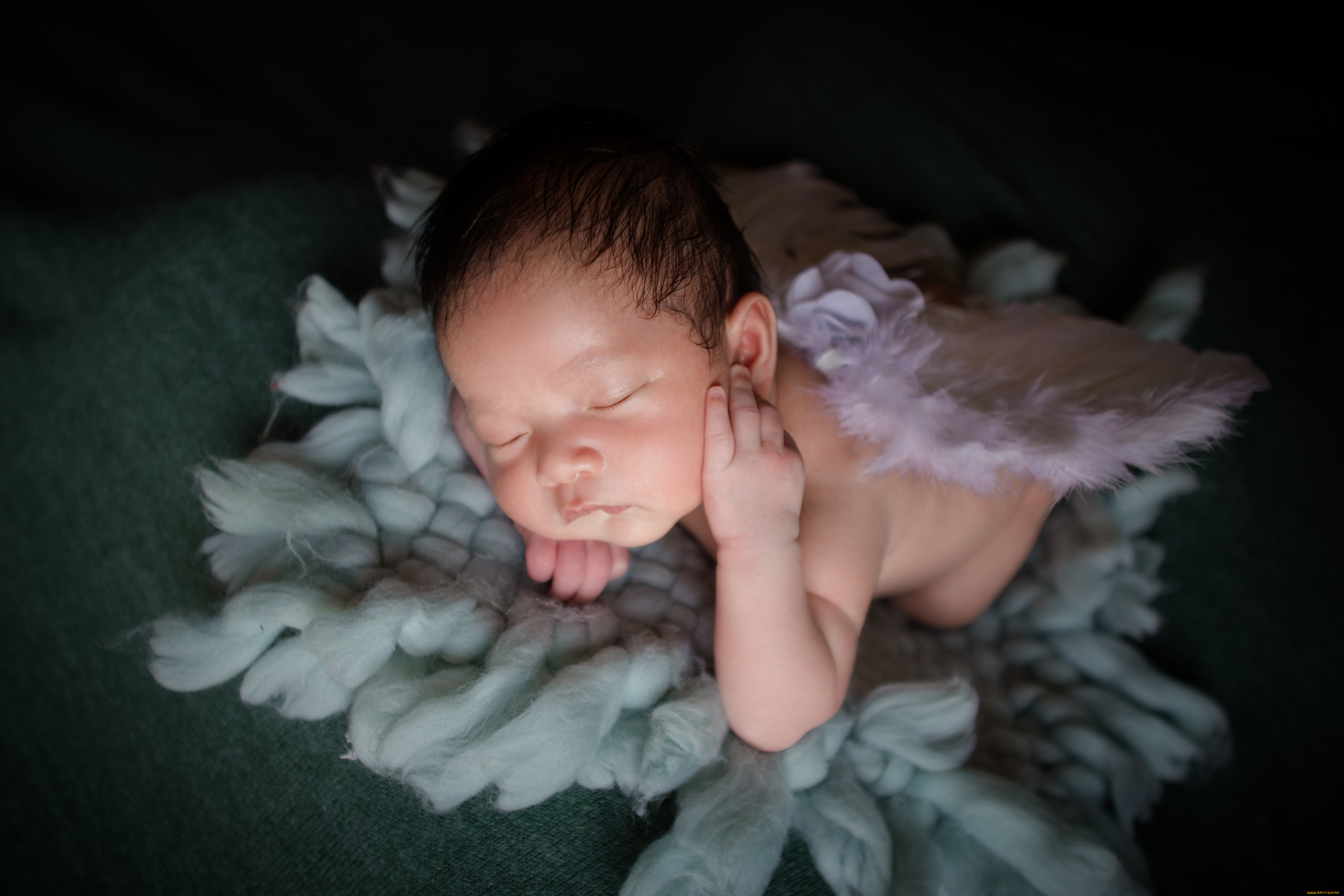 Дайте детям крылья и корни. Фото младенца с крыльями. Спящий малыш с крыльями. Фотосессия с малышами новорожденными Эстетика дети цветы. Показать младенца и Крылья.